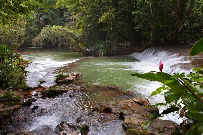 Dunn’s River Falls and Zipline with Roundtrip Transfers - Why Dunn’s River Falls works so well for an active half-day
