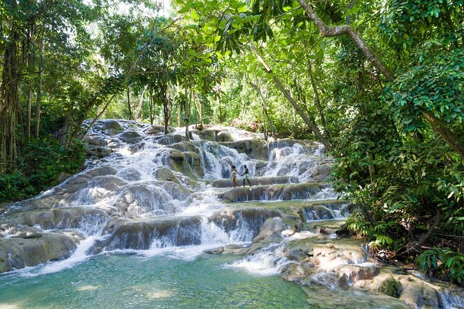 Dunn’s River Falls and Zipline with Roundtrip Transfers - What $155 really buys you