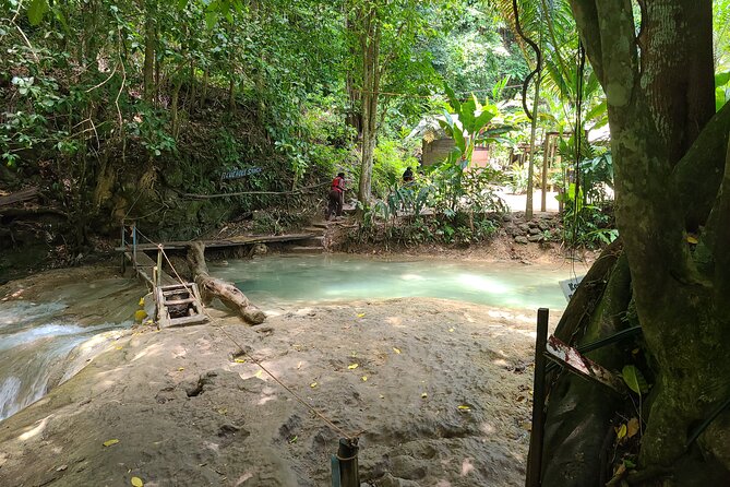 Dunn's River Falls & Blue Hole from Montego Bay or Falmouth - What the praise tells you about the service