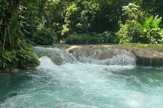 Dunn's River Falls & Blue Hole Tour from Montego Bay - Scotchies Drax Hall for a Jamaican lunch