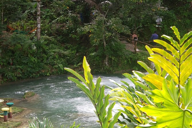 Dunn's River Falls & Blue Hole Tour from Montego Bay - What the $120 price really covers