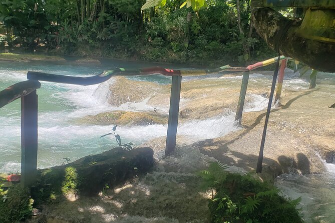 Dunn's River Falls & Blue Hole Tour from Montego Bay - Who should book this day trip?