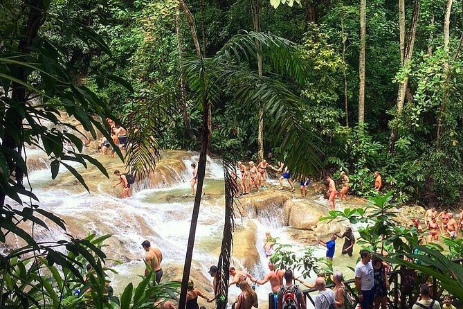Dunn's River Falls & Blue Hole Tour from Montego Bay - Blue Hole: the day’s biggest thrill