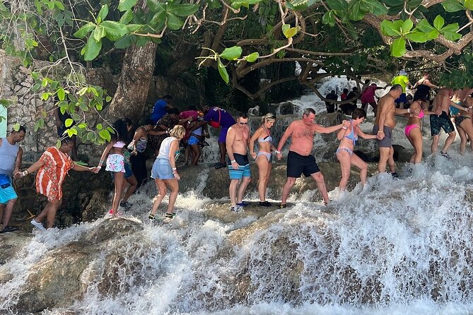 Dunn's River Falls Climb and Beach Include Entry Fee (ᵔᵕᵔ) - Who will enjoy this private Jamaica excursion