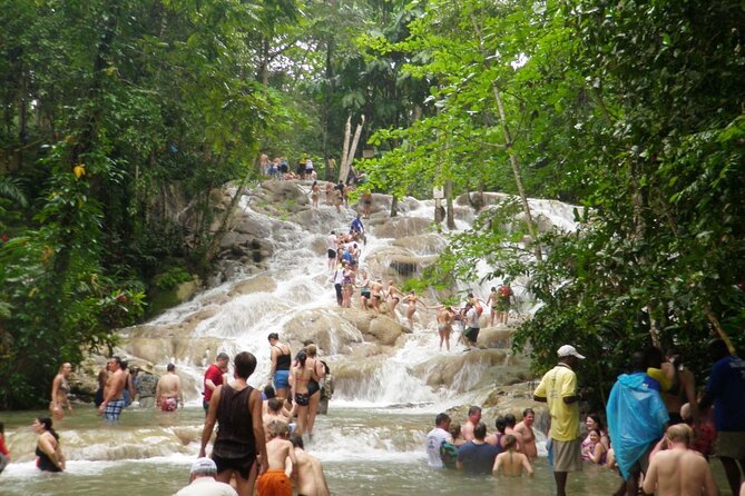 Dunn's River Falls Climb and Beach Include Entry Fee (ᵔᵕᵔ) - Private transport from Montego Bay