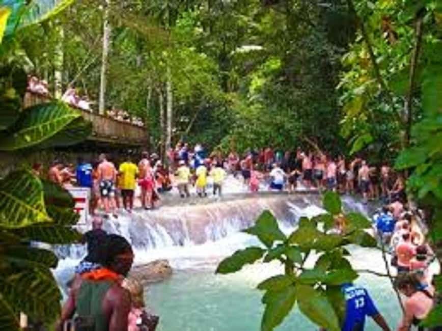 Dunn's River Falls Day Tour - Who should book this experience?