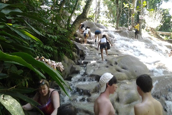 Dunn's River Falls excursion from Montego Bay - Why Dunn’s River Falls makes a strong day trip
