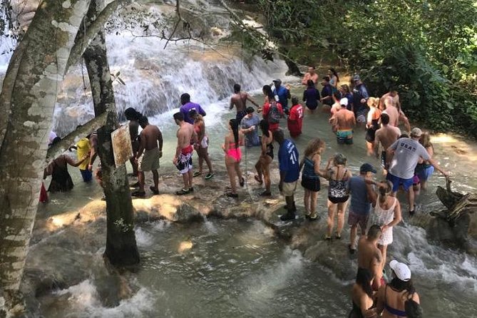 Dunn's River Falls From Montego Bay - Arriving at Dunn’s River Falls and Park