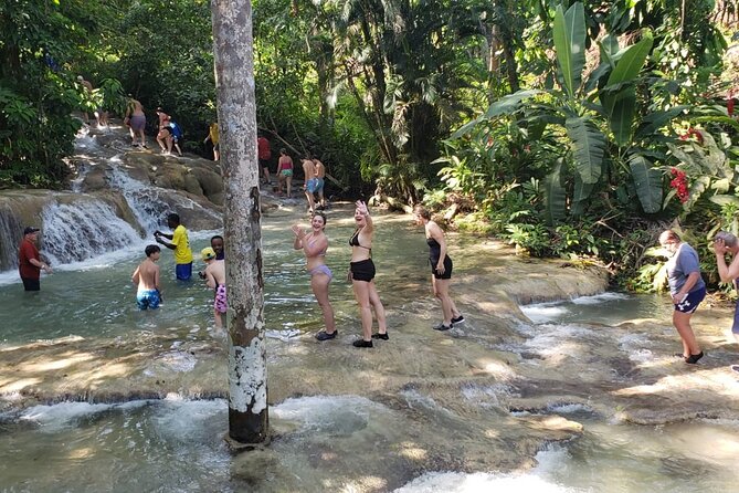 Dunn's River Falls Half Day Tour From Montego Bay - Who should book this half-day trip?