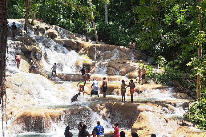 Dunn's River Falls & Island Village, Private Tour from Kingston - From Kingston to Ocho Rios by private car