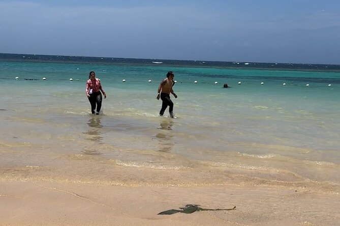 Dunn's River Falls & Island Village, Private Tour from Kingston - The drawbacks to weigh before departure
