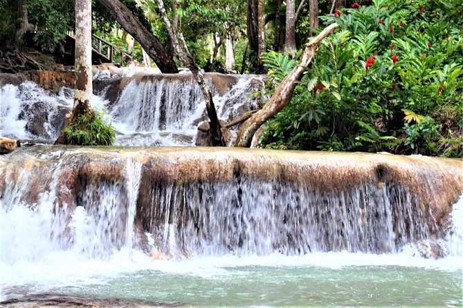 Dunn's River Falls & Luminous Lagoon Guided Tour with Admission from Falmouth - Two Jamaican icons in one long afternoon