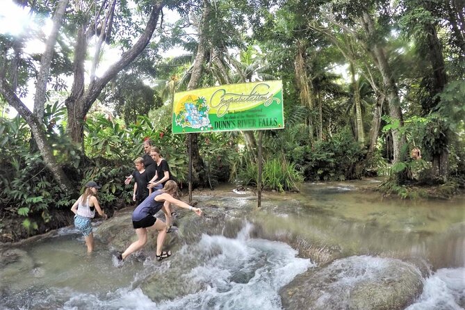 Dunn's River Falls & Luminous Lagoon Guided Tour with Admission from Falmouth - Who will enjoy this tour most