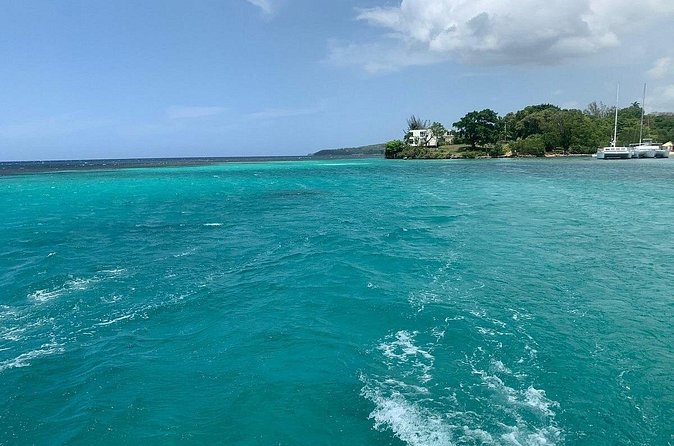 Dunn's River Falls Party Cruise, Blue Hole with Snorkeling, free beverages - Snorkeling from the catamaran