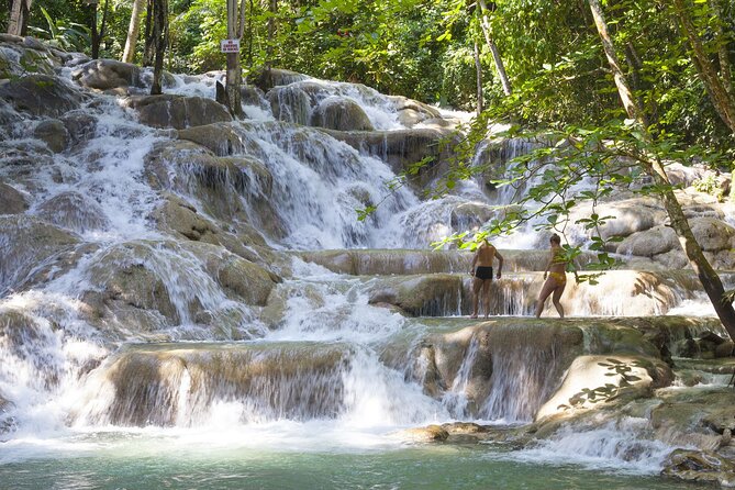 Dunn's River Falls plus Luminous Lagoon (Glistening Water)Private Tour - My call: book it for convenience and contrast