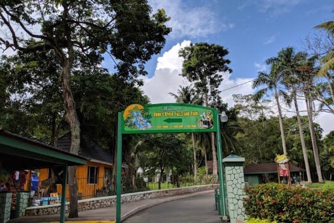 Dunn's River Falls Private Tour - Photos, Views, and the Craft Market