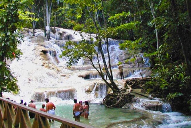 Dunn's River Falls Private Tour - Who Should Book This Dunns River Falls Tour?