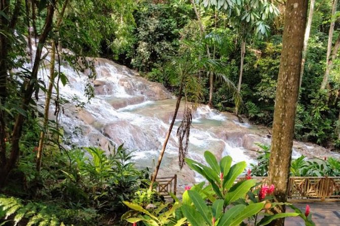 Dunn's River Falls Private Tour - Arriving at Dunns River Falls and Park