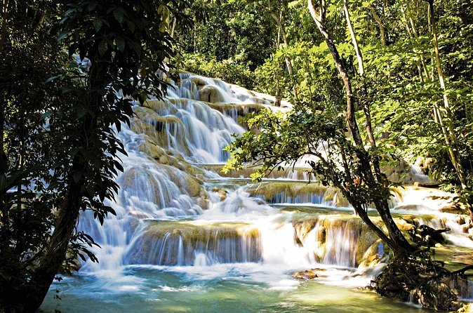 Dunn’s River Falls Tour with Transfers from Montego Bay - A private tour can save time and reduce friction