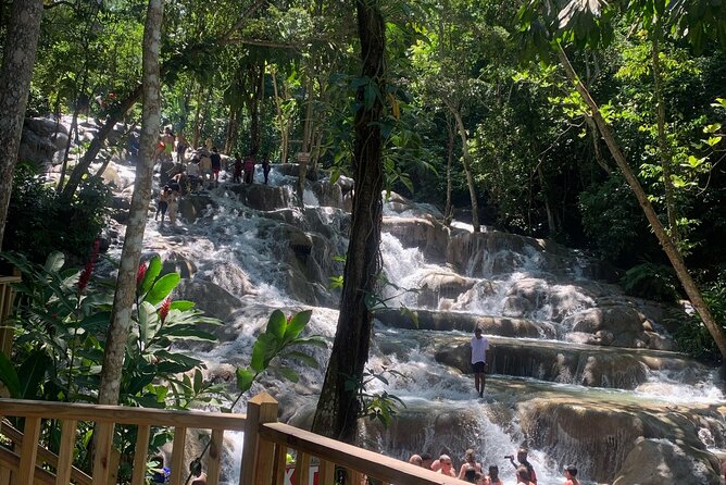 Dunn's River Falls, Zipline Adventure from Kingston - Zipping over the falls for a new view