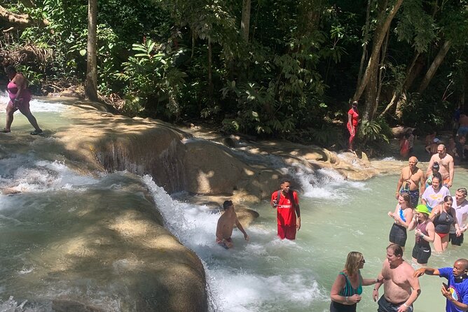 Dunn's River Falls, Zipline Adventure from Kingston - Who will enjoy this private adventure most?