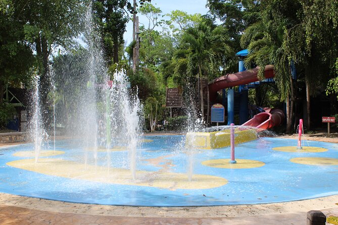 Dunn's River Park & Blue Hole Waterfall Combo from Montego Bay - Why the driver matters more than usual