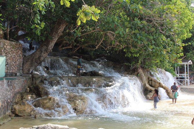Dunn's River Park & Blue Hole Waterfall Combo from Montego Bay - The honest drawbacks to consider
