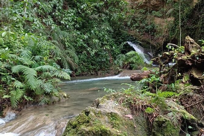 Dunns River and Blue hole tour from Montego Bay - Who should choose this experience?