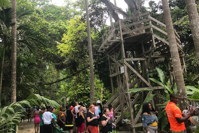 Dunns River & BlueHole Tour Includes Entry Fees - What the $289 price really buys you