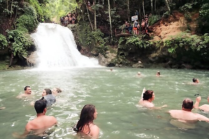 Dunns River Falls and Blue Hole Tour From Montego Bay - What to confirm before you pay
