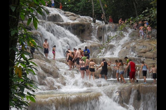 Dunns River Falls and Green Grotto Caves - Is $165.85 a fair price?