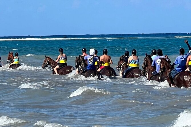 Dunns River Falls and horseback riding activity - Dunn’s River Falls, with three ways to spend your time