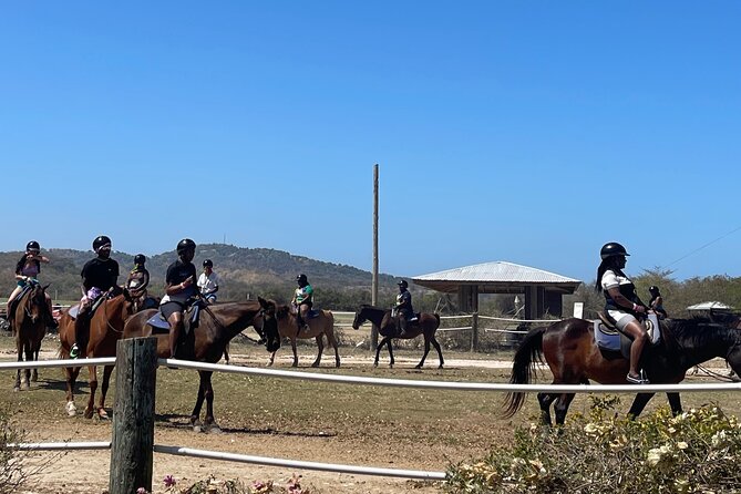 Dunns River Falls and horseback riding activity - Practical advice for a smoother day