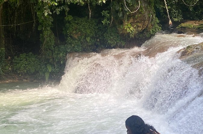 Dunns River Falls and Shopping Tour in Ocho Rios - Who should book this private waterfall tour?