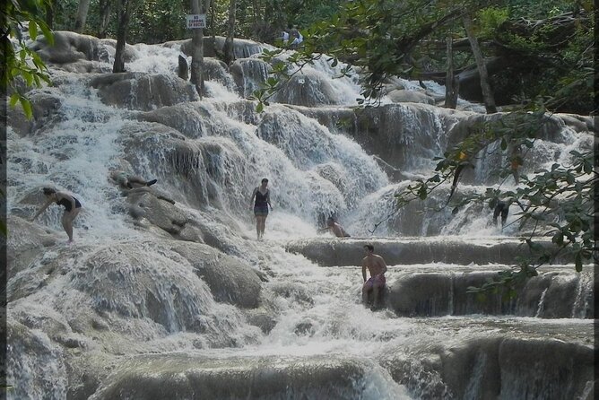 Dunns River Falls and Zipline Adventure from Kingston - Key points to know before booking