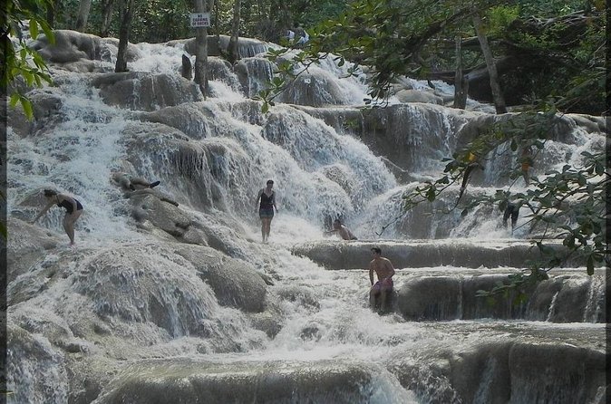 Dunns River Falls and Zipline Adventure from Kingston - Jamaican lunch with live reggae music