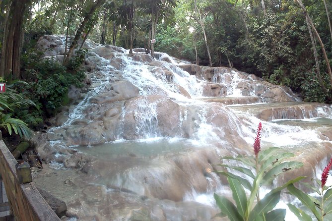 Dunns River Falls Park and Beach - Key points at a glance