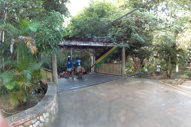 Dunns River Falls Park and Beach - Climbing the 600-foot falls or taking the side paths
