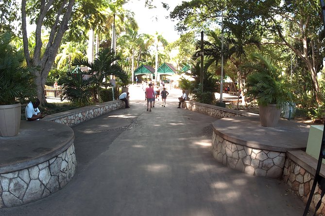 Dunns River Falls Park and Beach - A driver-guide who handles the arrival details