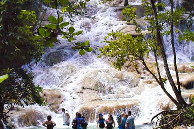 Dunns River Falls plus Bob Marley Nine Mile Private Tour - Dunn’s River Falls: a wet climb through natural pools