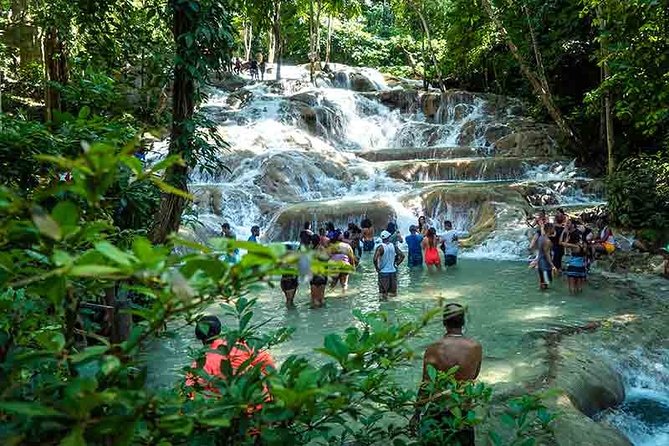 Dunns River Falls plus Bob Marley Nine Mile Private Tour - The value of $210 per person