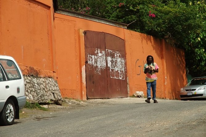 Dunns River Falls plus Bob Marley Nine Mile Private Tour - What the private format changes