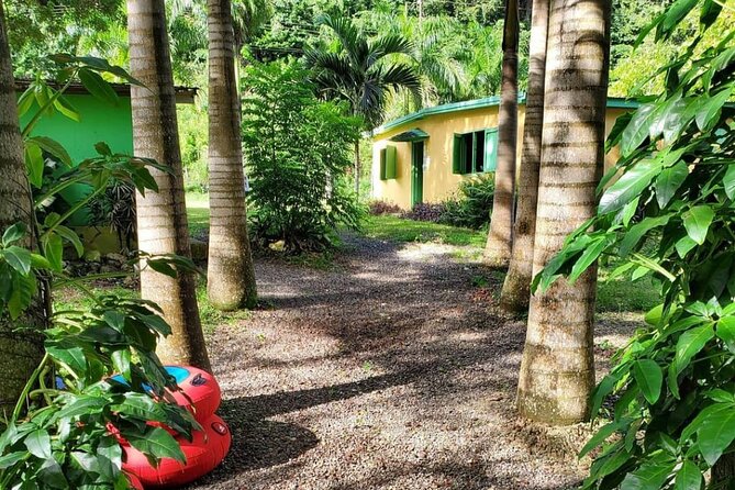 Dunns River Falls plus River Tubing Adventure on the Rio Bueno Private Tour - Rio Bueno tubing: mild rapids and deeper water