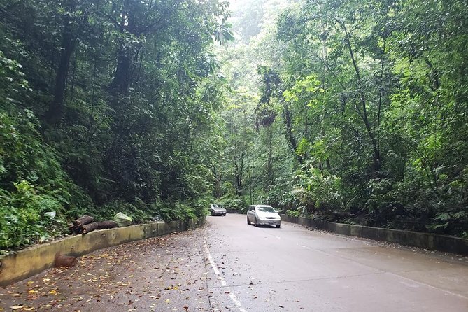 Dunns River Falls Scenic Tour - The Road Through Jamaica’s Countryside