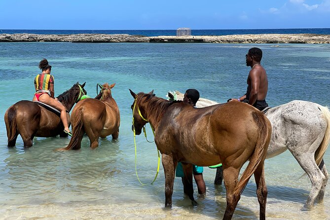 Dunns River Falls, Zipline, Bamboo Rafting & Horseback Tour - What the available feedback tells you