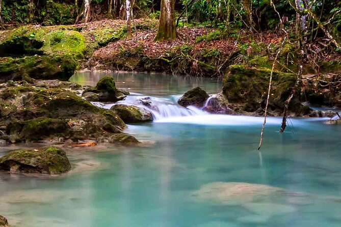 Exotic Blue Hole and Native Tour - Meeting Your River Guide at Blue Hole