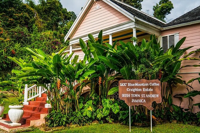 Exotic Blue Mountain Coffee Tour - Key Points Before You Book