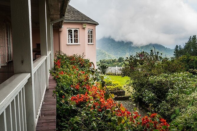 Exotic Blue Mountain Coffee Tour - Strawberry Hill: A Beautiful but Extra Stop