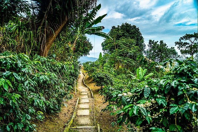 Exotic Blue Mountain Coffee Tour - Bob Marley Museum: Worth the Add-On?
