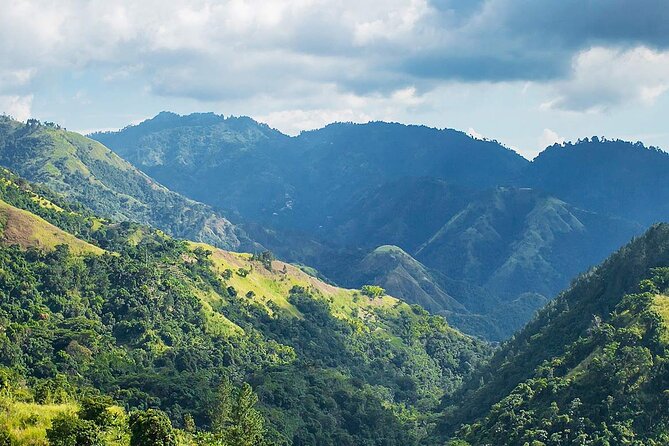 Exotic Blue Mountain Coffee Tour - Climbing Toward Craighton Estate